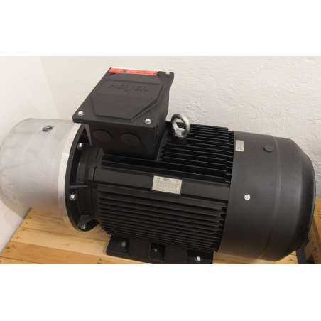 R901399037 ASYNCHRONOUS ELECTRIC MOTOR HOYER 1400 B35 110kW IE3 315S-4p